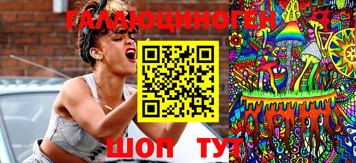Владимир  Псилоцибиновые грибы GOLDEN TEACHER  Галлюциногенные грибы Magic Shrooms  Вход с VPN 