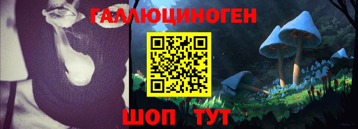 Галлюциногенные грибы Magic Shrooms Владимир